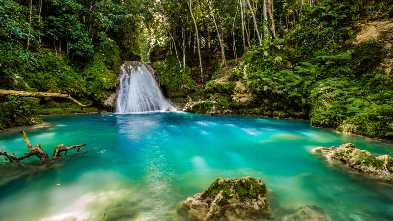 Silent Shores, Montego Bay, Jamaica