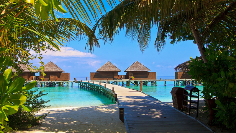 maldives 1