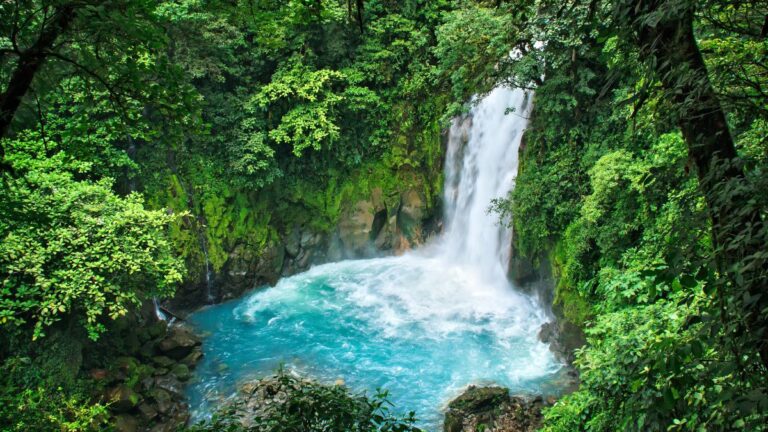 Worst Time To Visit Costa Rica: A Guide to Avoiding Crowds and High Prices
