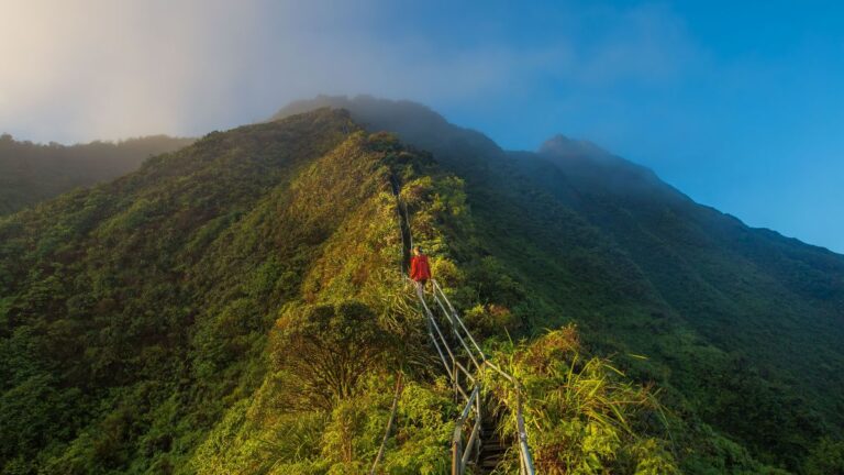 15 Most Scenic Hikes on the North Shore of Oahu You Need to Try