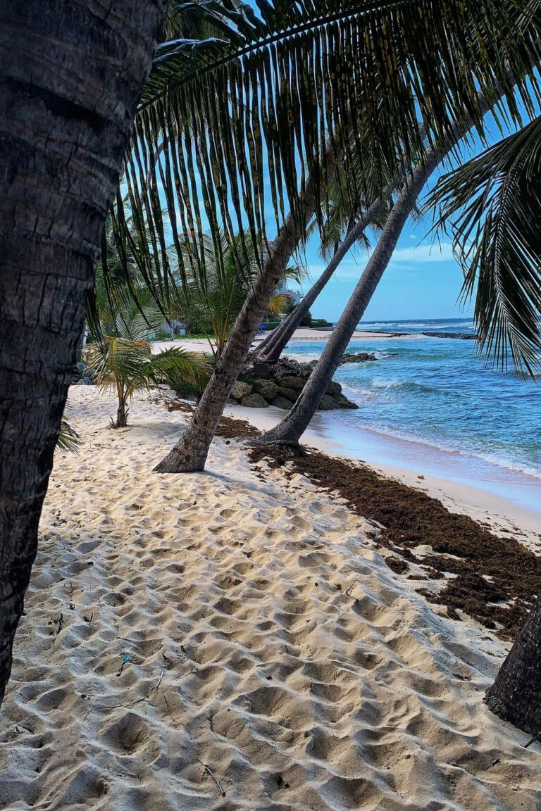 Barbados Expands Visa-Free Access to 164 Countries Boosting Tourism Arrivals