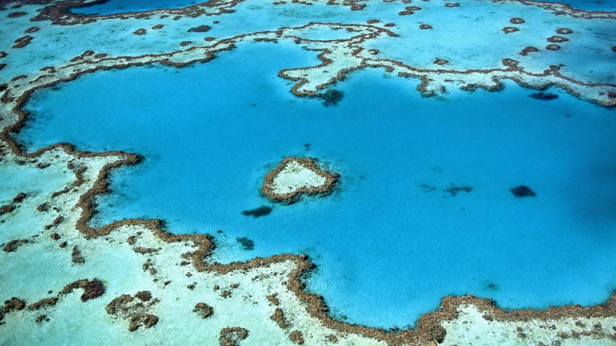 Worst Time to Visit Great Barrier Reef