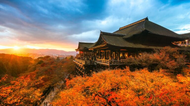 10 Best Things to Do in Kyoto for Cherry Blossoms and Zen Gardens