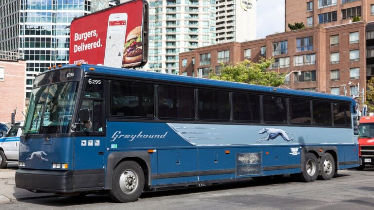 Here’s How Safe Greyhound Busses Are: Should You Be Using It?