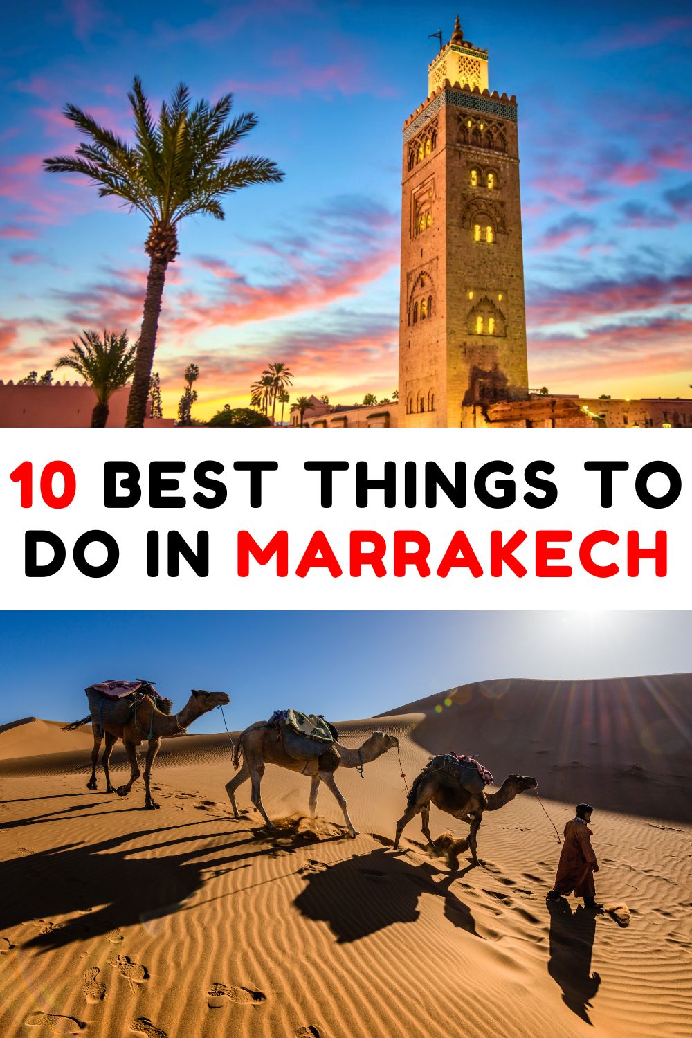 Best Things to Do in Marrakech