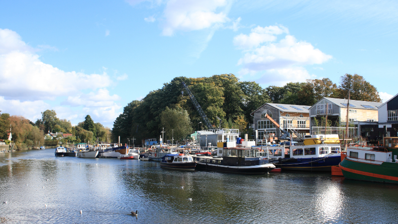 Eel Pie Island