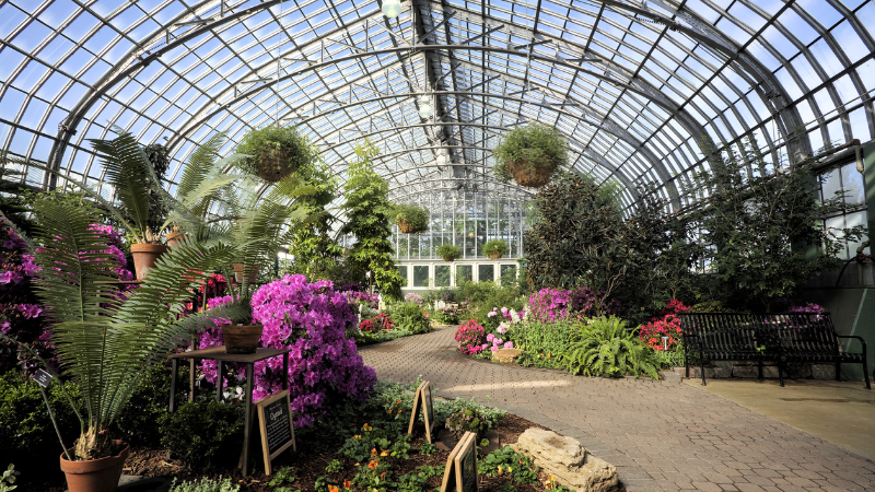 Garfield Park Conservatory