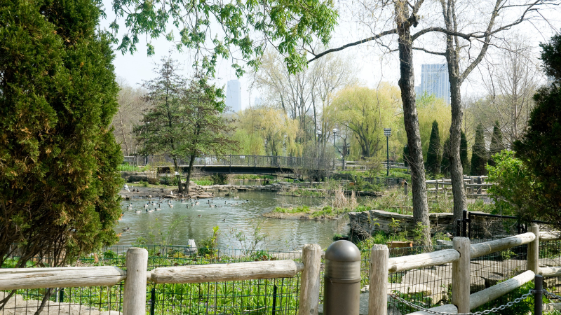 Lincoln Park Zoo Nature Boardwalk