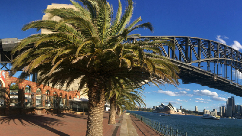 Manly to Spit Bridge Coastal Walk