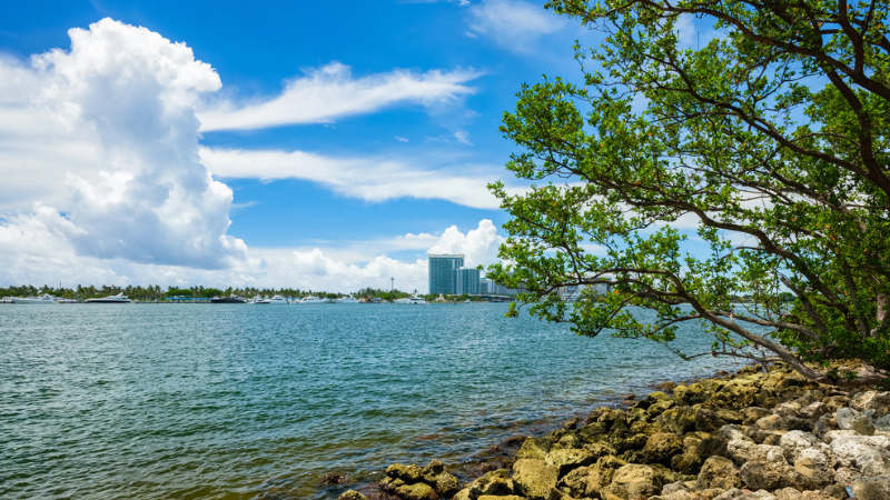 Oleta River State Park