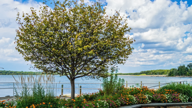 Paddington Reservoir Gardens