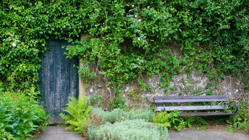 The Hidden Gardens of Berlin