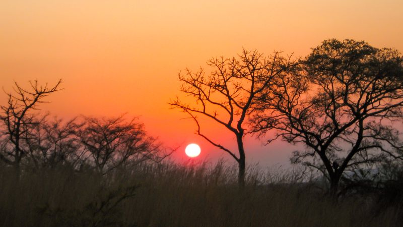 Kruger National Park South Africa 1