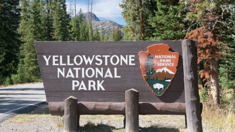 Best Time to Visit Yellowstone National Park