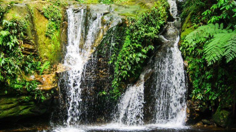 The Amazon Rainforest’s Singing Rivers and Hidden Tribes