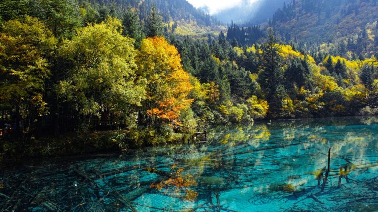 Jiuzhaigou Valley’s Vibrant Waters and Hidden Trails Unveil a Serene Wonderland in China’s Mountain Depths