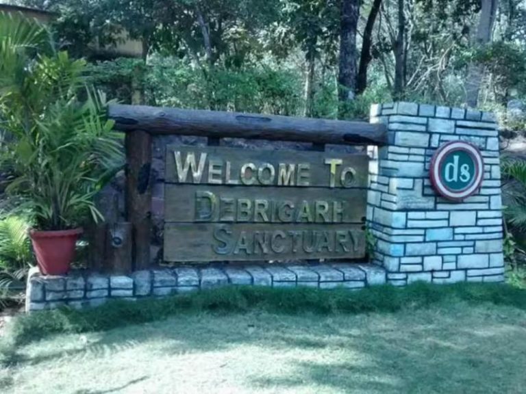 Debrigarh Wildlife Sanctuary Introduces Canopy Walk and Eco-Tents to Enhance Biodiversity Access