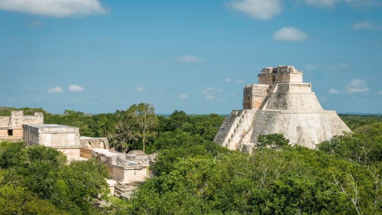 The Green Gold Rush: How the Tren Maya is Fracturing the Yucatan’s Tourism Economy