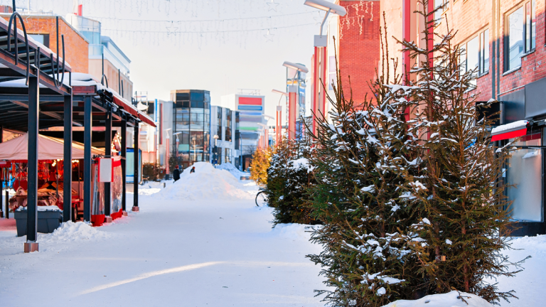Rovaniemi Airport Storm Grounds Multiple Flights
