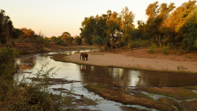 Kruger National Park Suspends All Tourism Activities After Severe Flooding