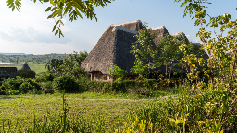 Uganda Announces Rwenzori Marathon as Certified World Athletics Event