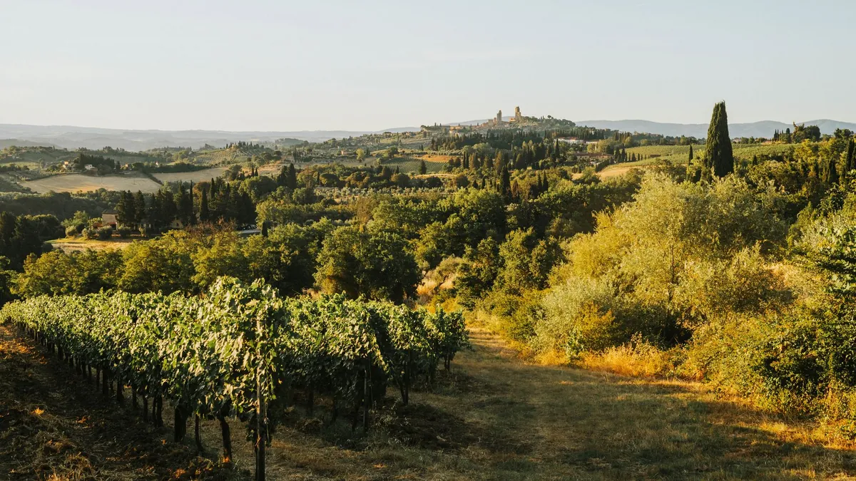 10 Peaceful European Countryside Escapes With Historic Vineyards