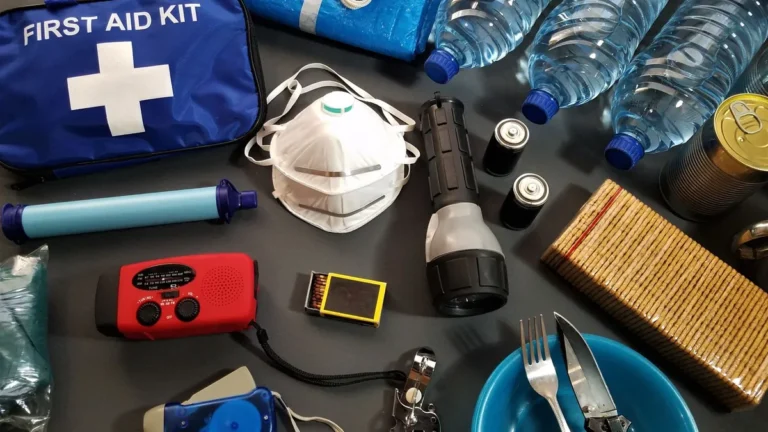 15 Essential Road Trip Emergency Items to Pack