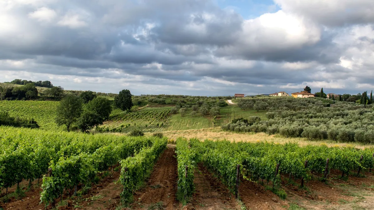 8 Gorgeous European Wine Valleys That Are Astonishingly Cheap
