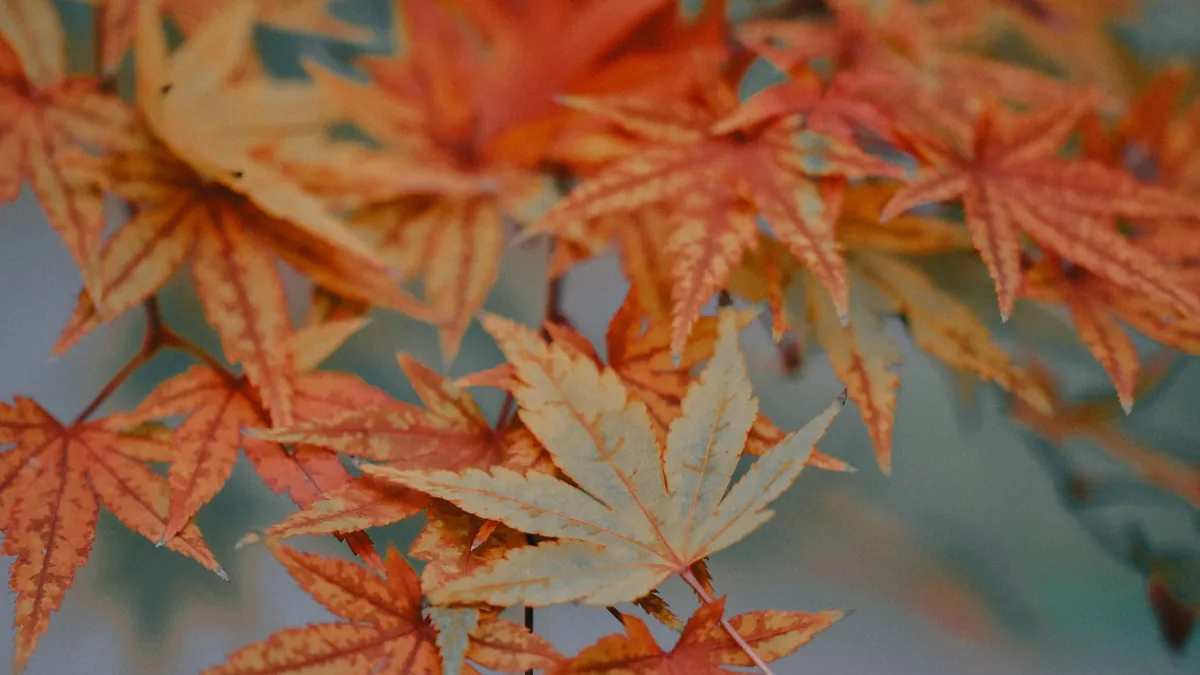 8 National Parks With Peak Autumn Foliage in Late October