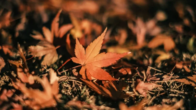 9 Fairytale New England Towns for Peak Fall Foliage