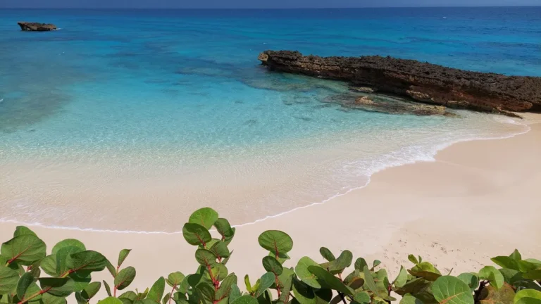 9 Pristine Caribbean Beaches Free From Seaweed