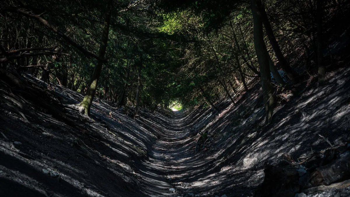 Azores Hidden Trails