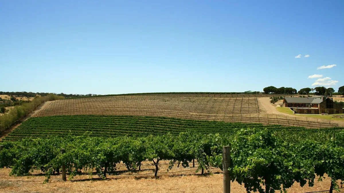 Barossa Valley Australia Adjacent Regions