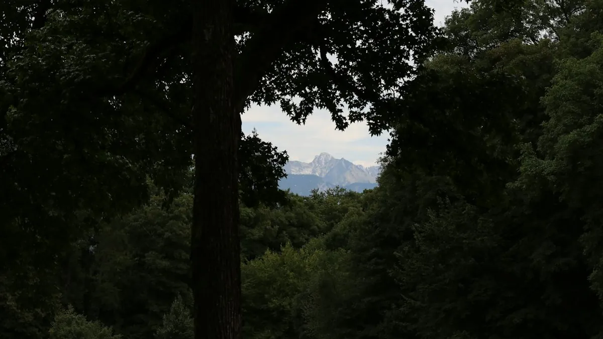 Blue Ridge Parkway Mountain Loop