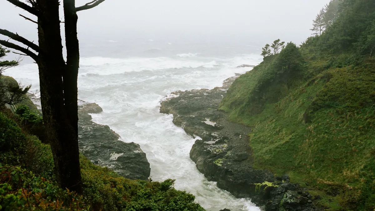 Cape Perpetua Scenic Loop