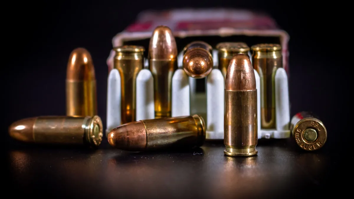 Carrying Ammunition or Firearm Components Without Proper Declaration