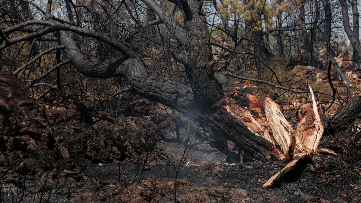 Confronting Climate and Weather Disappointments