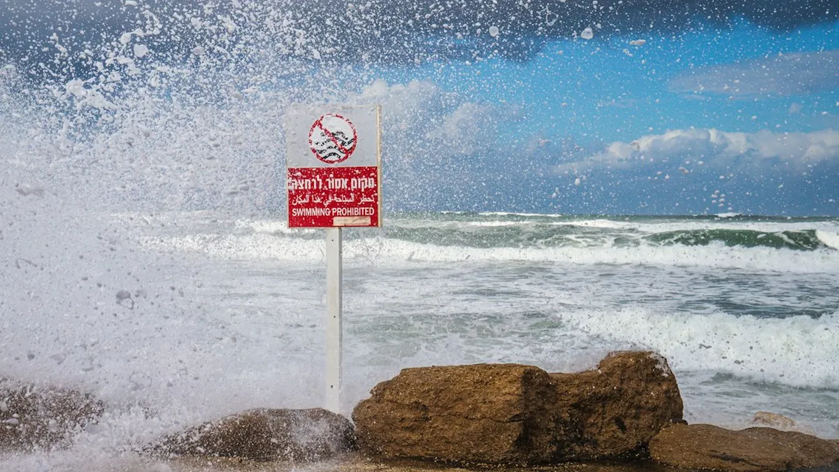Damage Waiver Upsells Presented as Essential Coverage During Counter Negotiations