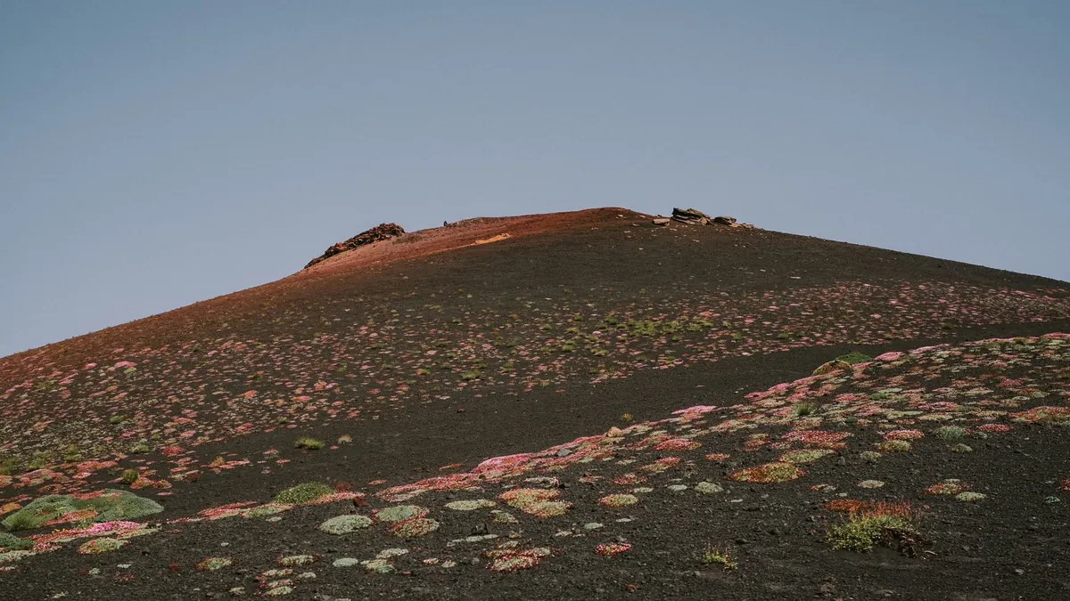 Etna Wine District, Sicily
