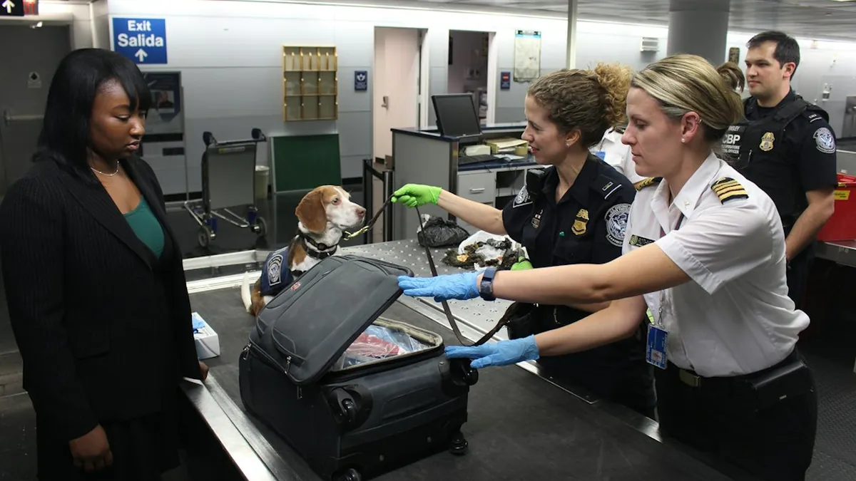 Hidden Baggage Surcharges: Budget Airlines' Airport Check-In Fees