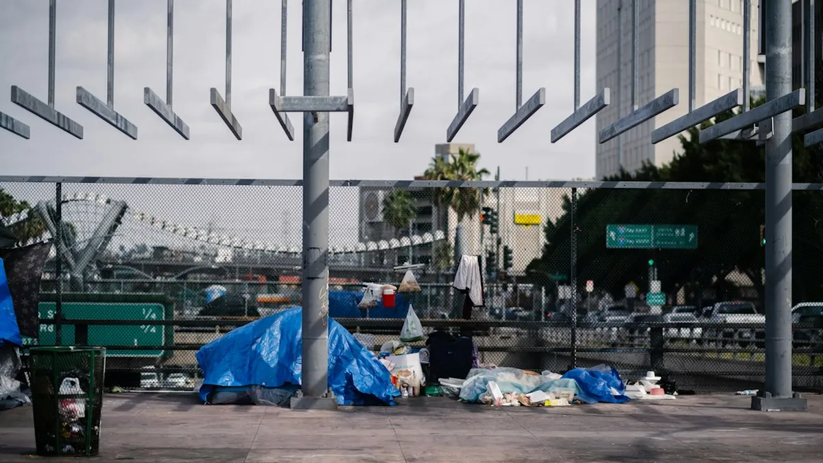 High Concentration of Homeless Individuals and Visible Drug Activity