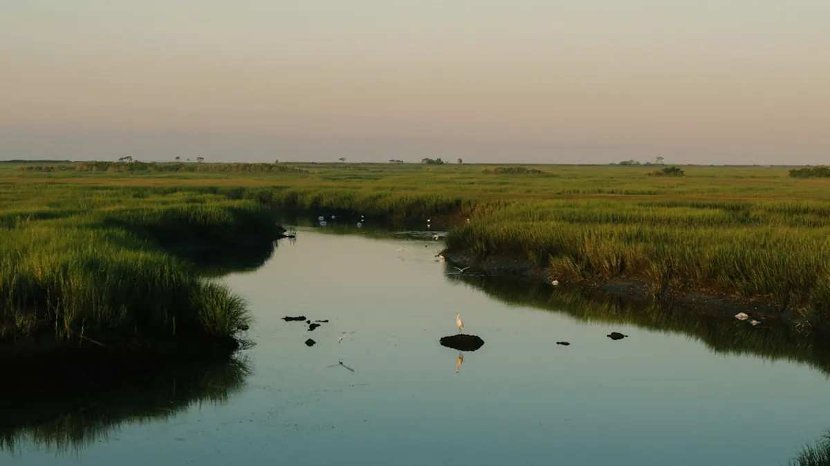Louisiana