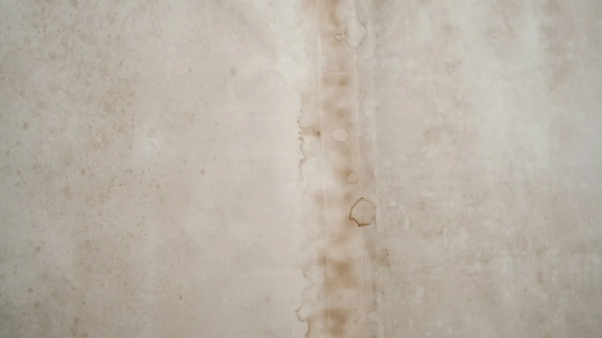 Mattress and Box Spring Showing Signs of Deterioration or Unusual Discoloration Patterns