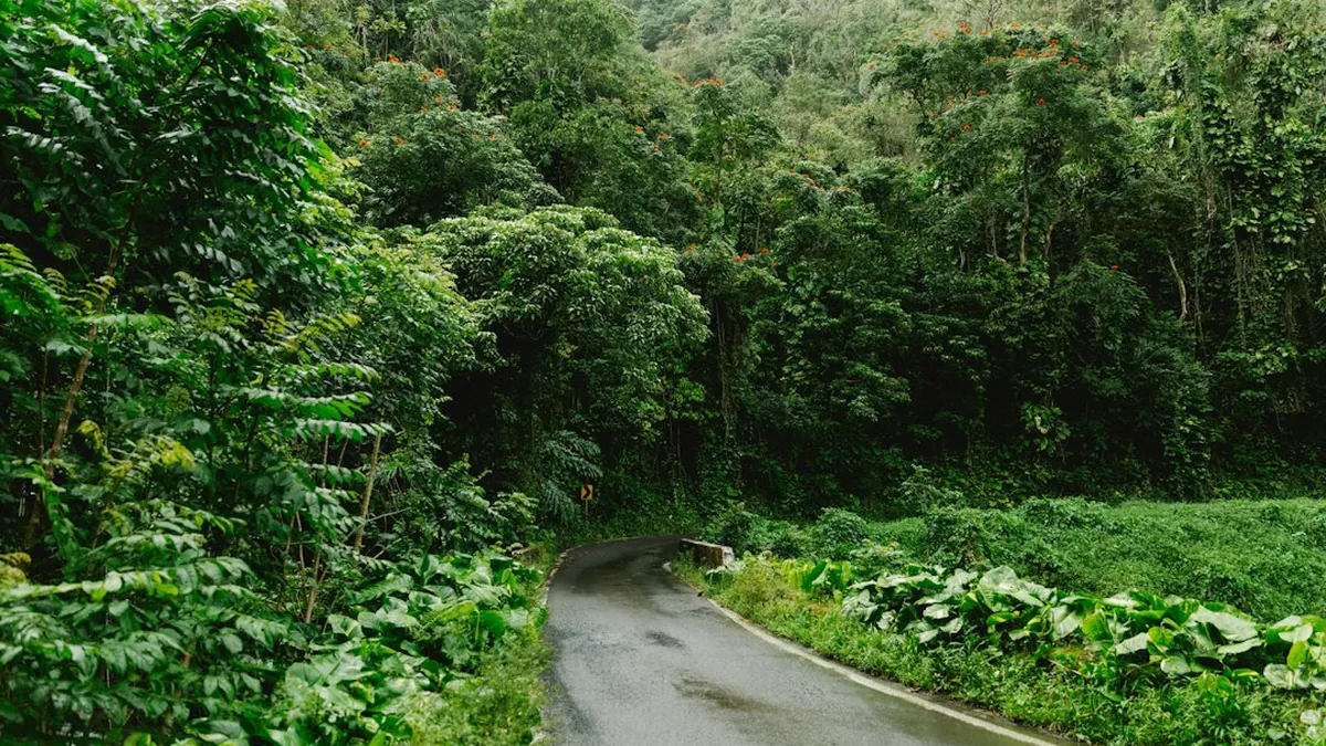 Maui's Road to Hana