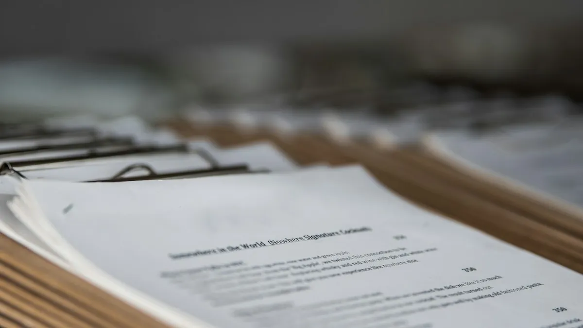Navigating Complex Bureaucratic Systems and Visa Requirements