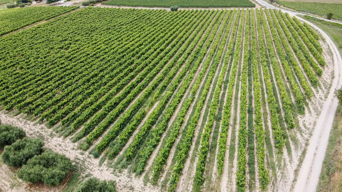 Penedès Region, Catalonia