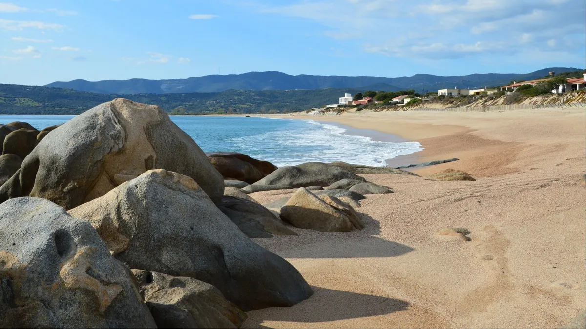 Plage de Palombaggia, Corsica – France's southeastern gem offering complimentary sunbed placement in public sections with Mediterranean pine tree shade and turquoise waters