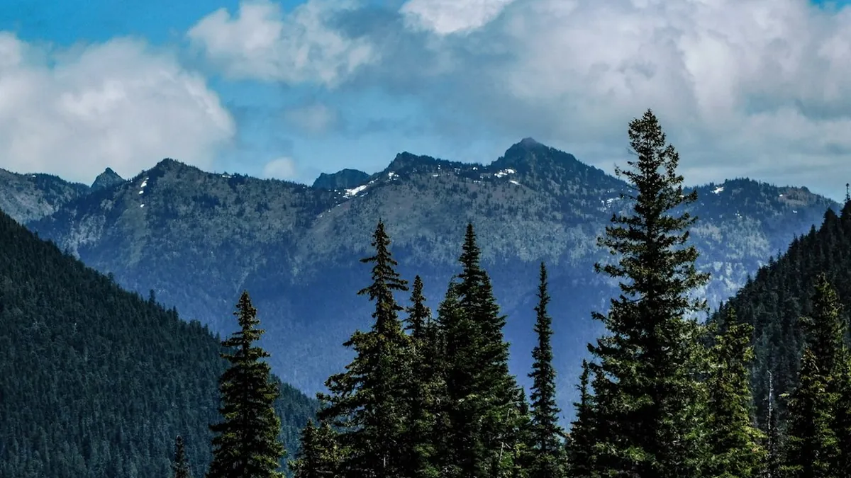 Seasonal Rocky Mountain Rail Adventure Featuring Alpine Meadows and Glacial Valley Landscapes