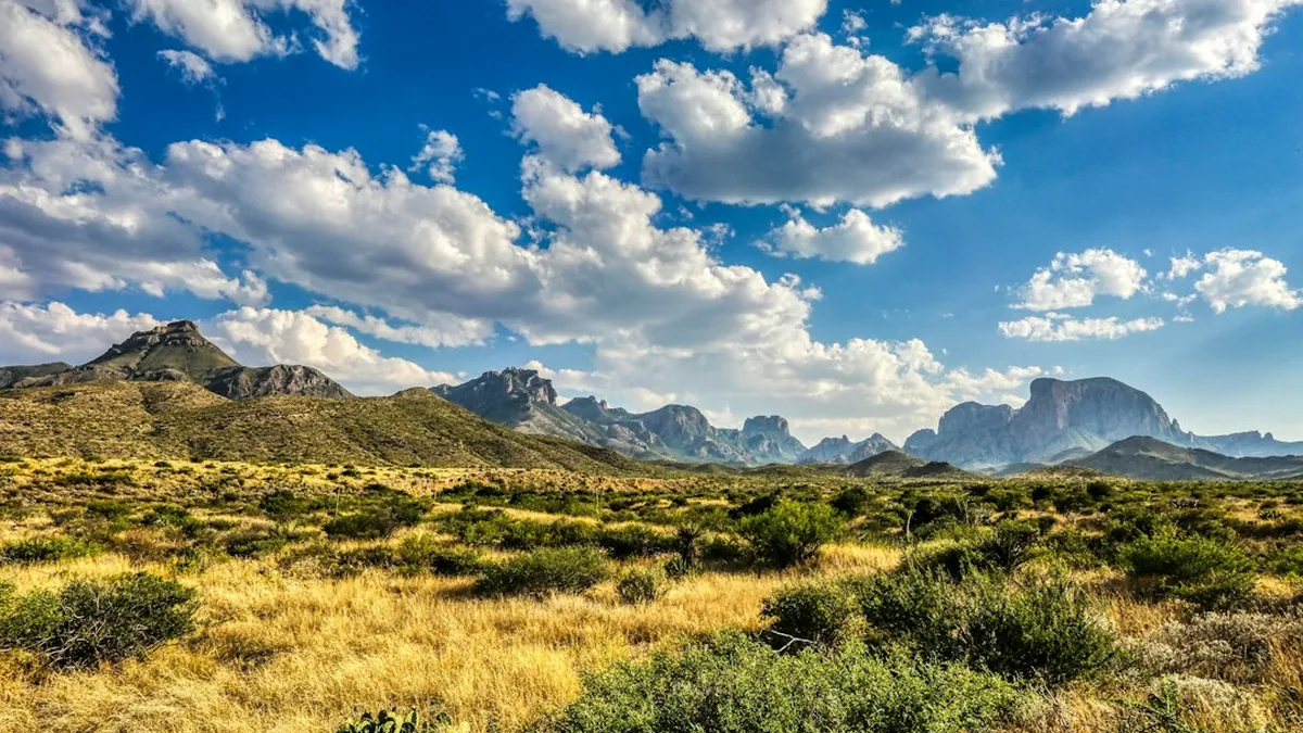 Texas