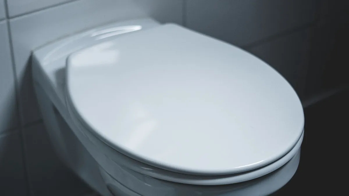 Toilet Seat and Surrounding Surfaces